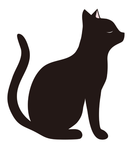 黒猫1