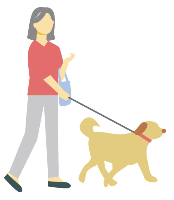 シニア女性犬の散歩1