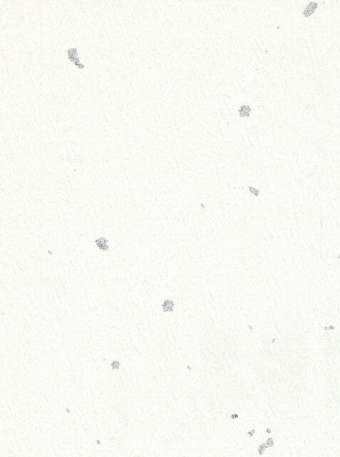 和紙テクスチャ1