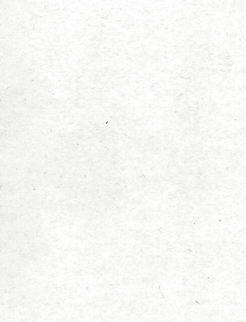 和紙テクスチャ2