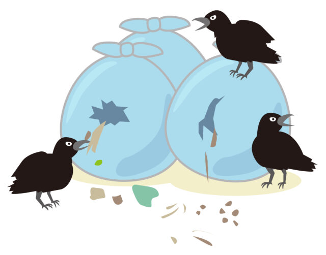 ゴミ散乱カラス1