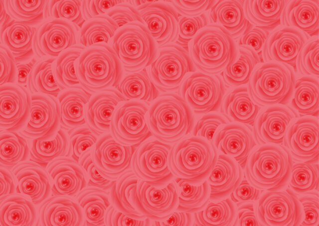 バラ一面背景1