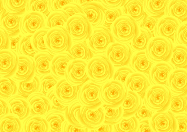 イエローバラ一面1