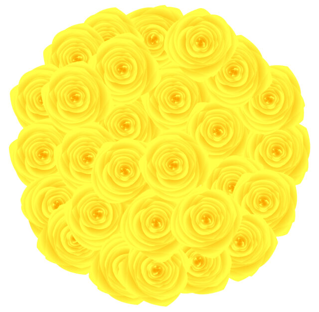 イエローバラの花束1