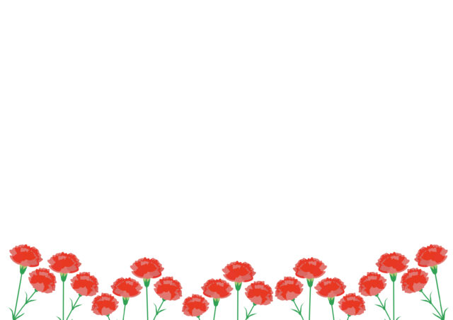 カーネーションフレーム1