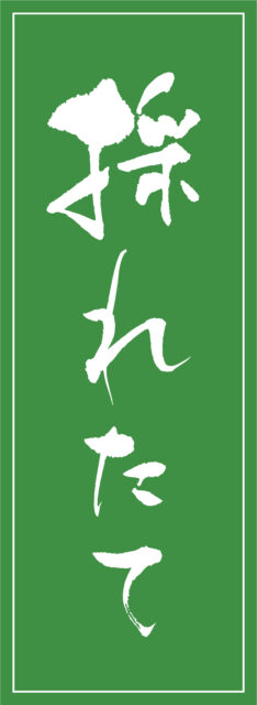 採れたて　筆文字1