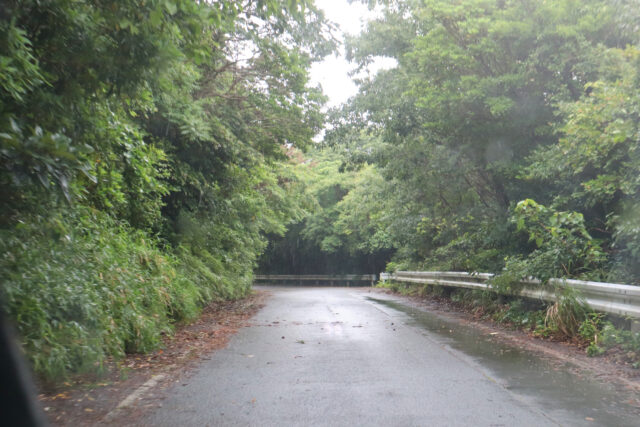 雨の山道1